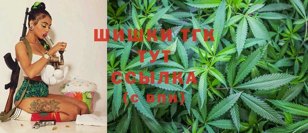 прущий лед Инта