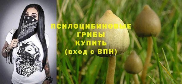 мдма Инсар